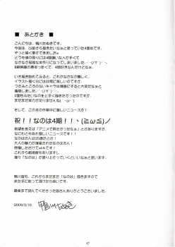 (Lyrical Magical 6) [Kamogawaya (Kamogawa Tanuki)] Ufufuu no Fu IV (Mahou Shoujo Lyrical Nanoha) - page 17