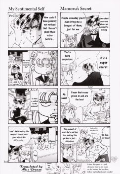 [PALE LILAC (Ohmori Madoka)] EARTH WIND (Sailor Moon) [English] {Miss Dream} - page 31