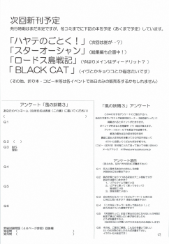 (C68) [RED RIBBON REVENGER (Various)] Kaze no Yousei 3 (Elemental Gelade) - page 48