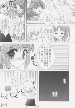 [A' (bebe)] Rakuyou Shuugetsu (Tsukihime) - page 41