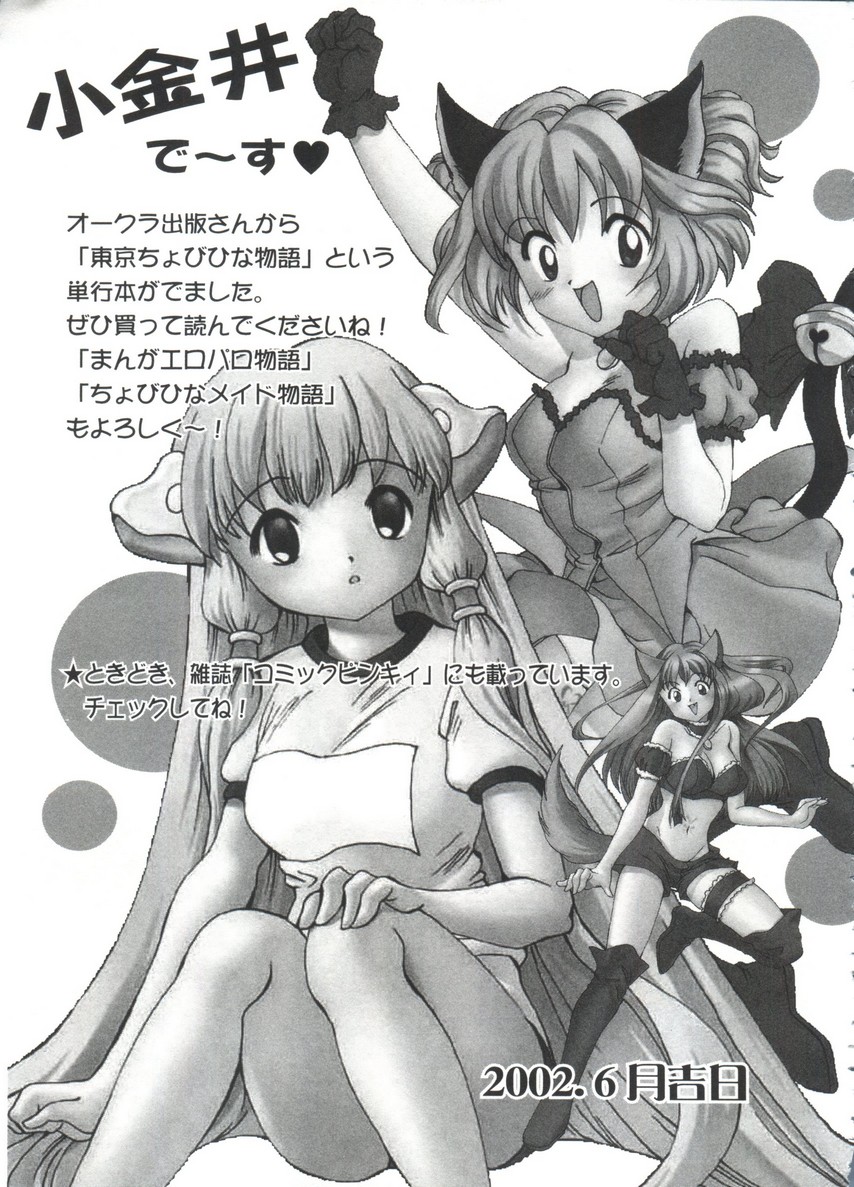 [doujinshi anthology] Moe Chara Zensho Vol.  2 (Kasumin, Pretty Sammy, Card Captor Sakura, Tokyo Mew Mew) page 158 full