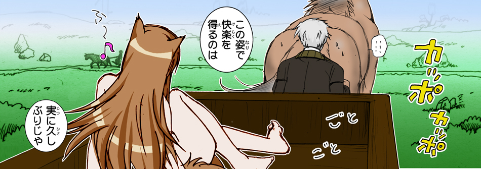 (SC38) [Raijinkai (Harukigenia)] Wolf Road (Ookami to Koushinryou [Spice and Wolf]) [Colorized] page 46 full