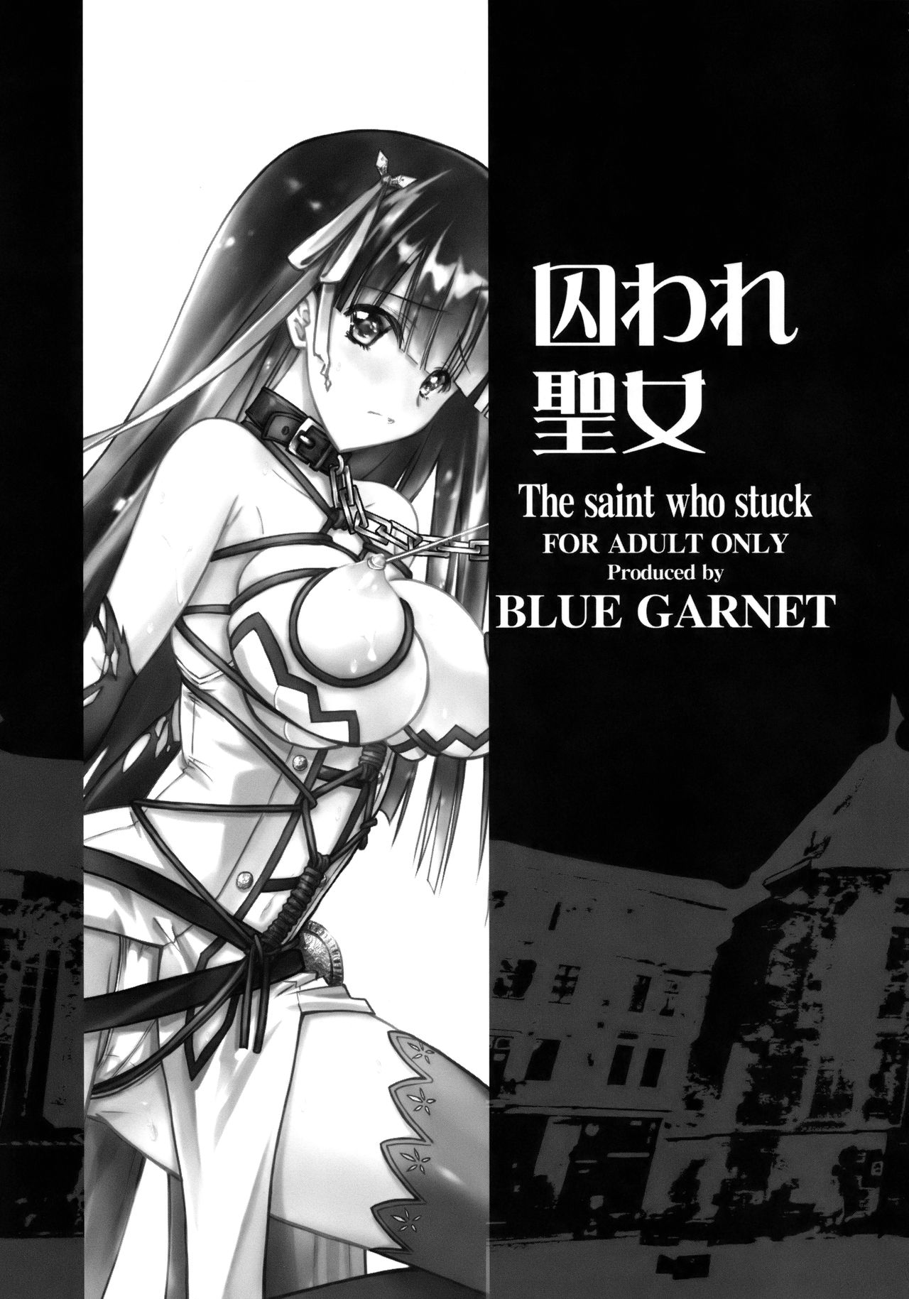 (C93) [Blue Garnet (Serizawa Katsumi)] Toraware Seijou (Fate/Grand Order) page 4 full