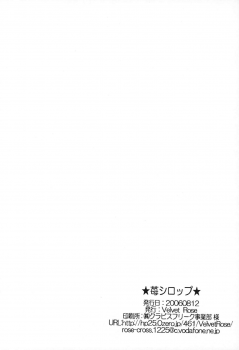(C70) [Velvet Rose (Misaki Ren)] Ichigo Syrup (Bleach) - page 19