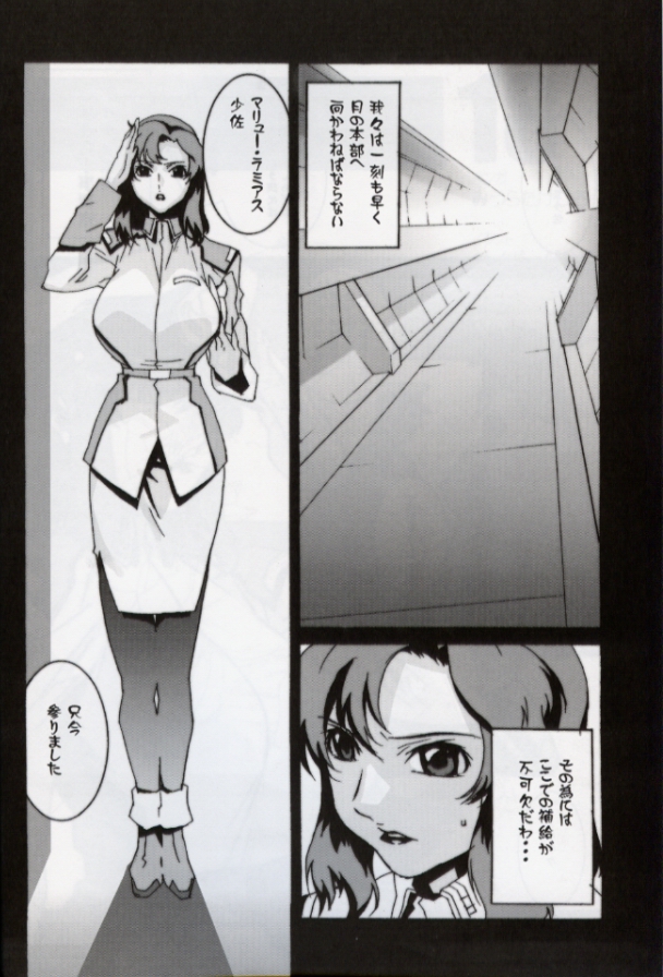 (C64) [studio C-TAKE (Miura Takehiro)] GUNYOU MIKAN vol.18 (Mobile Suit Gundam SEED) page 5 full