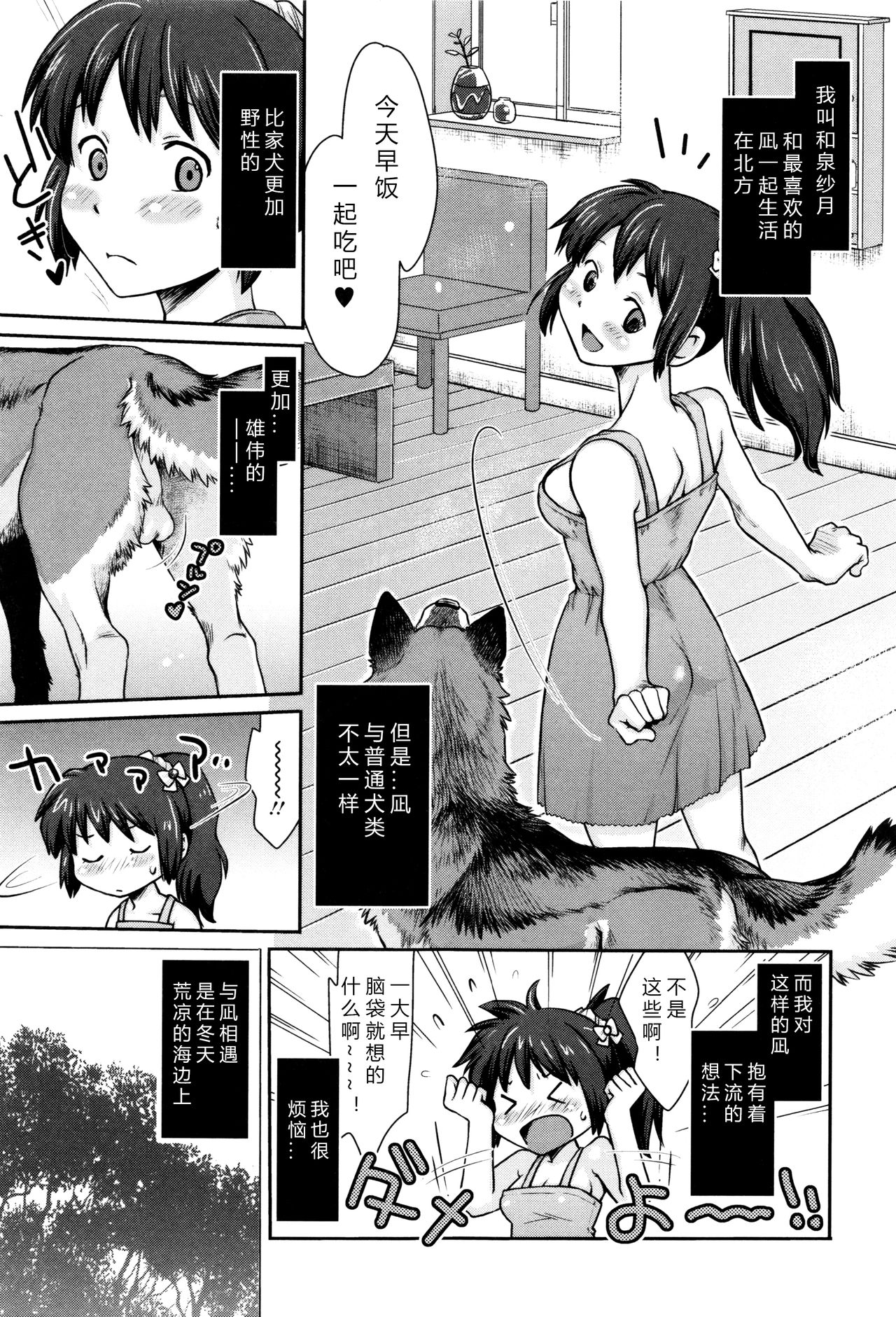 [Souko Souji] Nagi, Ikanaide! ~Ookami to Shoujo~ (Kemono DIRECT 3) [Chinese][Decensored] page 3 full