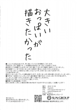 (C97) [SEPIA (OgataAz)] Saikin Imouto no Oppai ga Kininatte Shikataganai - page 27