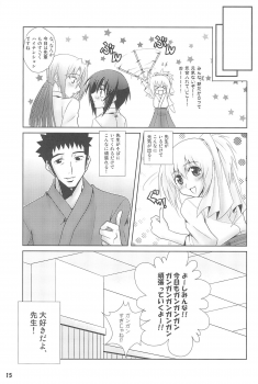 (C75) [Hokanko (Tame, Meshi)] Tamehon 3 (Various) - page 15