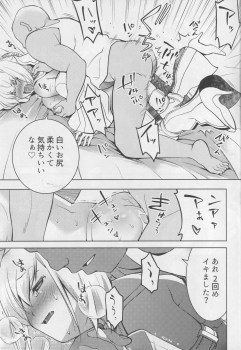 (C94) [Oyama! Kikunosuke VS (Seguchi Takahiro)] NETRO (Fate/Grand Order) - page 22