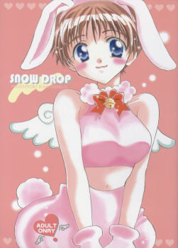 (C55) [Gyaroppu Daina, Kusse (Narita Rumi, Senami Rio)] SNOW DROP (Neon Genesis Evangelion) - page 1