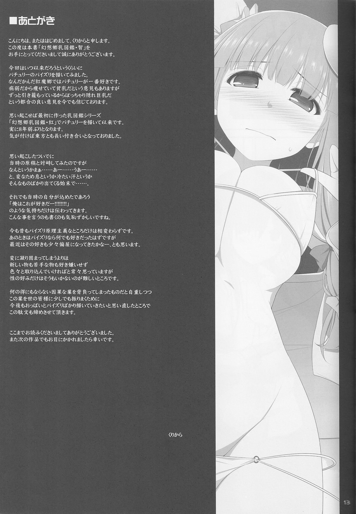 (Reitaisai 11) [TOYBOX, Kujira Logic (Kurikara, Kujiran)] Gensoukyou Chichi Zukan - Chi (Touhou Project) page 12 full