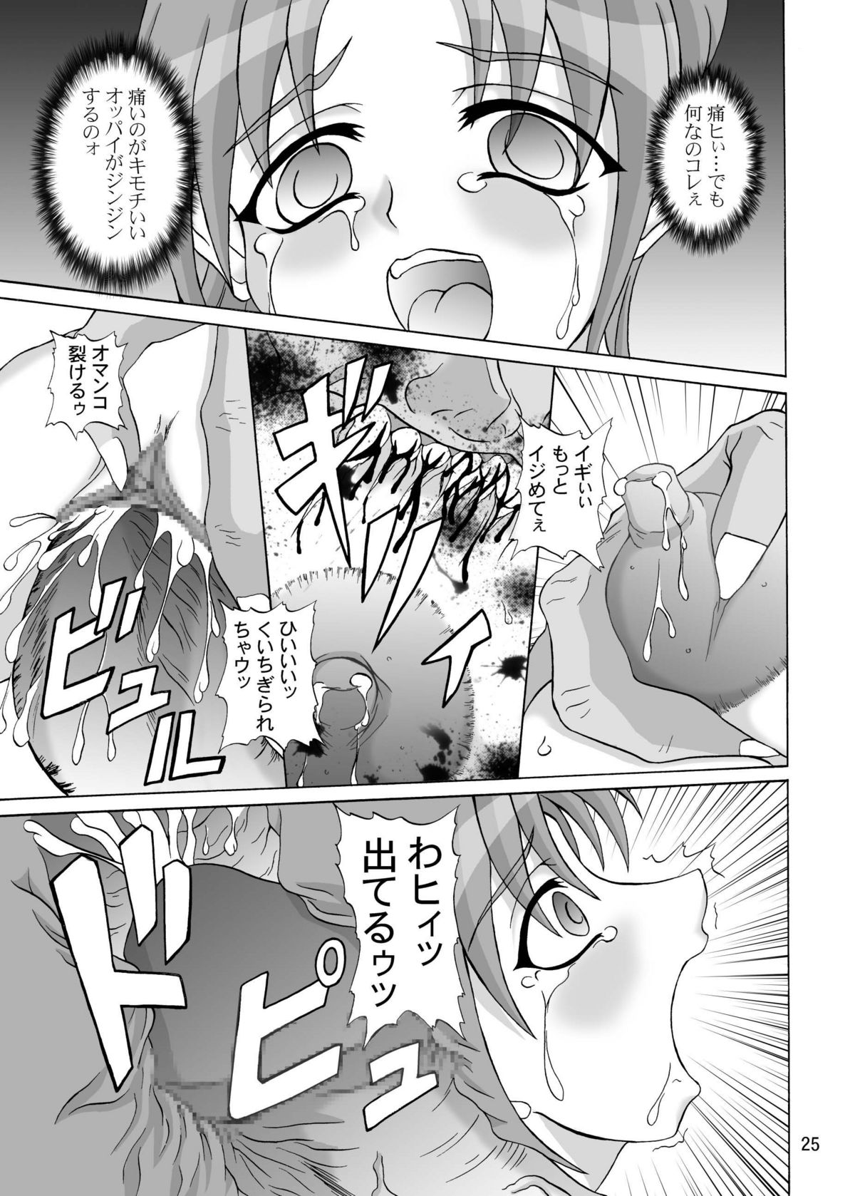 (C64) [Anglachel (Yamamura Natsuru)] Insanity 2 (Darkstalkers, King of Fighters) page 24 full