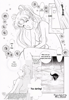 [PALE LILAC (Ohmori Madoka)] EARTH WIND (Sailor Moon) [English] {Miss Dream} - page 26