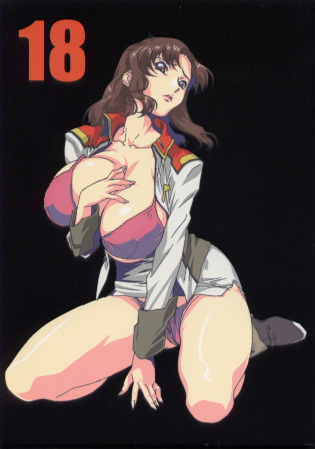 (C64) [studio C-TAKE (Miura Takehiro)] GUNYOU MIKAN vol.18 (Mobile Suit Gundam SEED) page 1 full