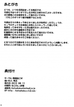 (C82) [Fukutsuu Okosu (Kaiou)] Gensou Saimin (Touhou Project) - page 29