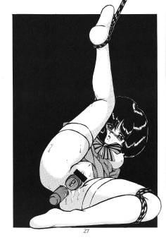 (CR29) [Thirty Saver Street 2D Shooting (Maki Hideto, Sawara Kazumitsu)] Silent Saturn SS vol. 1 (Bishoujo Senshi Sailor Moon) - page 28