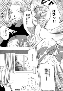 (SC16) [Kojimashiki (Kojima Aya, Kinoshita Shashinkan)] Seijin Jump - Adult Jump (Shaman King) - page 34