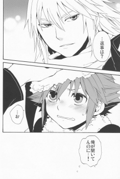(C77) [Ssize (Sam)] Shinyuu wa Santa Claus (Kingdom Hearts) - page 24
