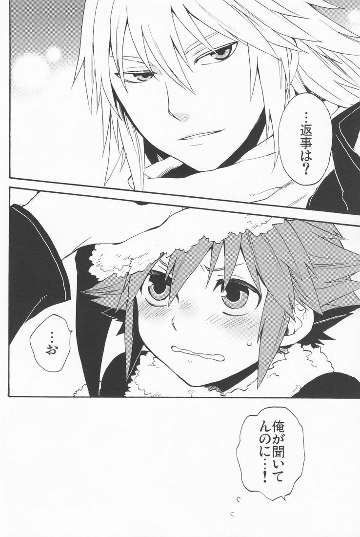 (C77) [Ssize (Sam)] Shinyuu wa Santa Claus (Kingdom Hearts) page 24 full