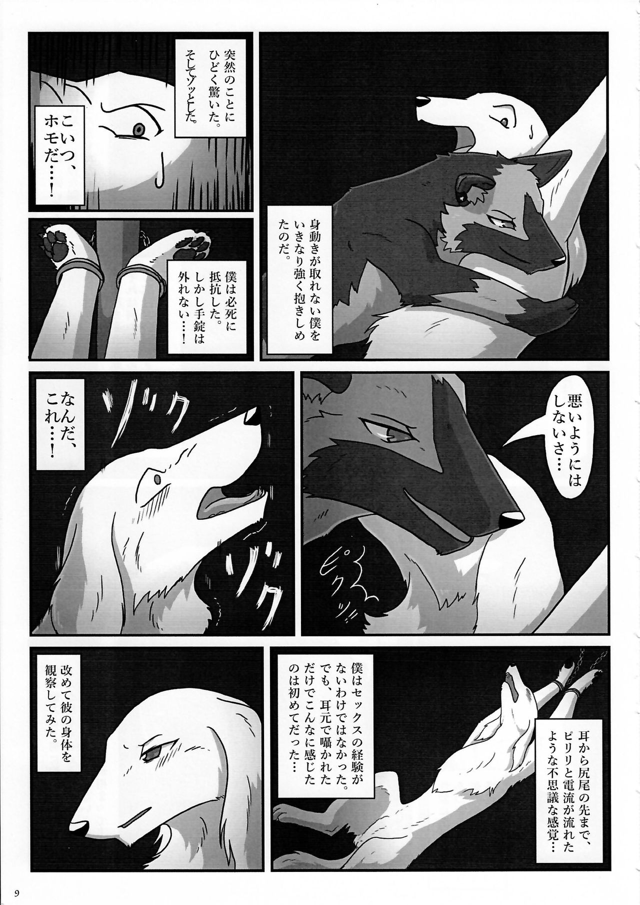 (Kansai! Kemoket 3) [KTQ48 (Various)] KTQ 7 page 9 full