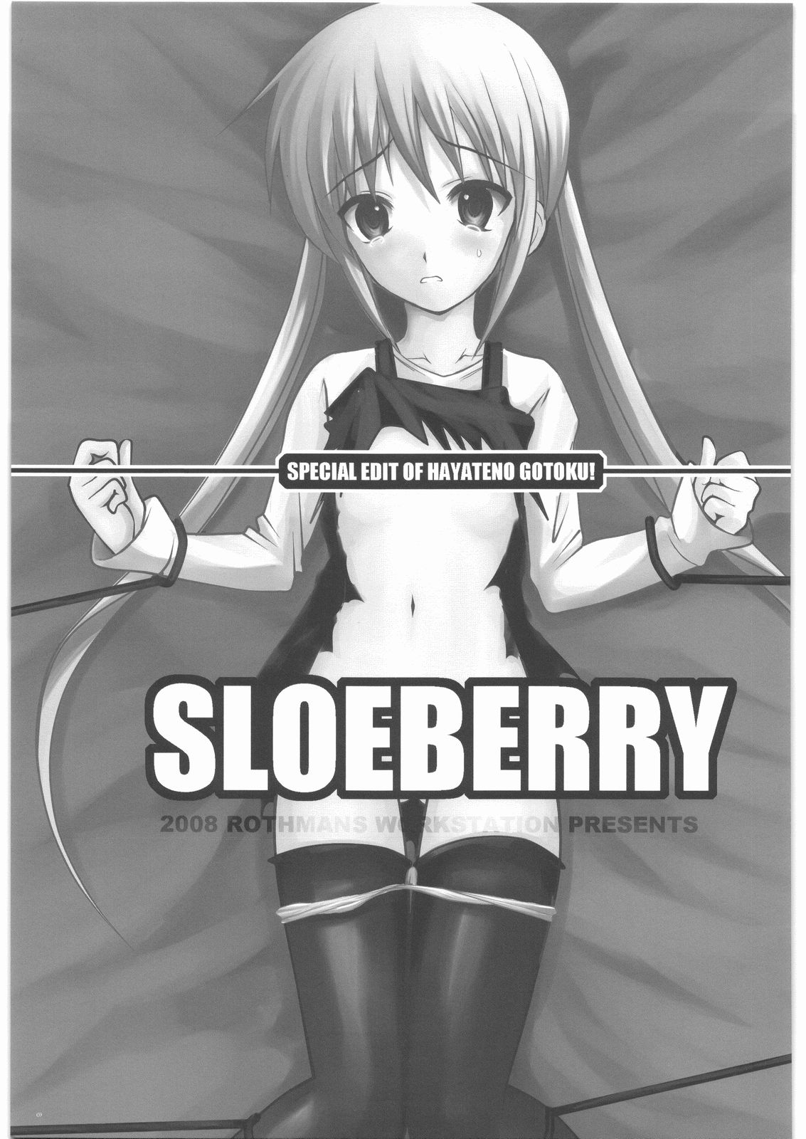 (COMIC1☆2) [R-WORKS (ROS)] SLOEBERRY (Hayate no Gotoku!) page 2 full