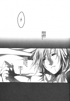 (C84) [CassiS (RIOKO)] Hoshizukiyo (FInal Fantasy XIII-2) - page 18