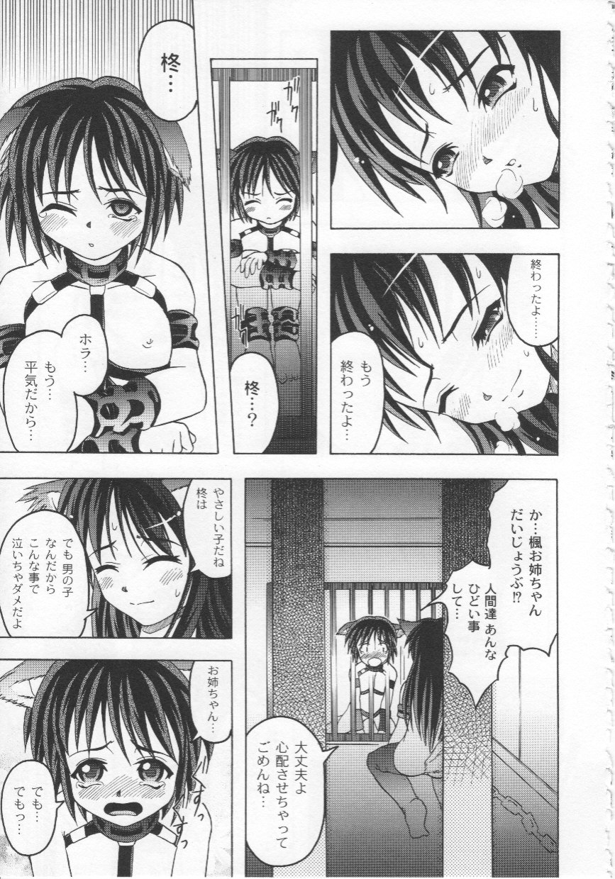 [Jinbo Hitode] Kazoku no Kanin page 10 full