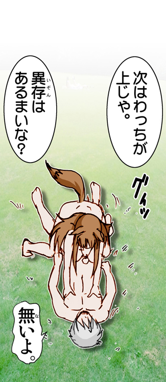 (SC38) [Raijinkai (Harukigenia)] Wolf Road (Ookami to Koushinryou [Spice and Wolf]) [Colorized] page 90 full