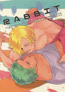 (C90) [Kyozoya (Kunoichi)] RABBIT (One Piece) - page 38