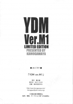 (C93) [Kamogawaya (Kamogawa Tanuki)] YDM ver.M1 (Girls und Panzer) - page 12