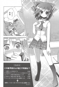 (C78) [Tsukiyomi (Porurin)] Hakurei Reimu no Tenka Tottaru de! (Touhou Project) - page 11
