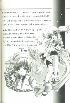 (CR33) [Uguisuya (Uguisu Kagura)] Daisan no Shoujo (Star Ocean 3) - page 25