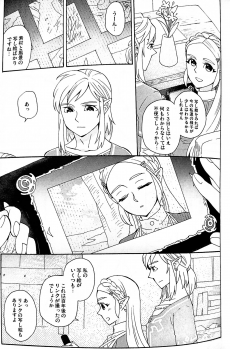 (ALL STAR 9) [CURSOR (Satou)] Ashita no Watashi-tachi (The Legend of Zelda) - page 14