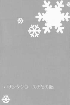 (C77) [Ssize (Sam)] Shinyuu wa Santa Claus (Kingdom Hearts) - page 25