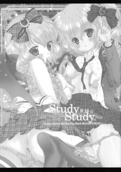 (Reitaisai 10) [Setoran (Itou Seto, Tanno Ran)] Study Study (Touhou Project) - page 2