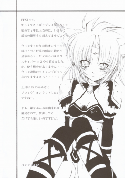 (C67) [Circle Credit (Akikan, Muichimon, Benjamin)] Panic (Final Fantasy XI) - page 27