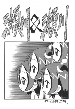 [Negimiso Oden (Yamakouji Koumyou)] Segawa & Segawa (Ojamajo Doremi) - page 4