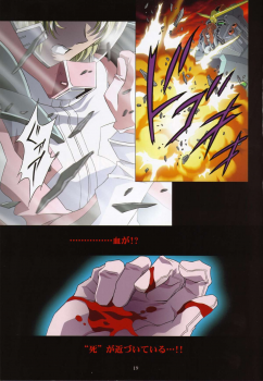 (C69) [Henrei-kai (Kawarajima Koh)] M.O.E -Morgen of Extended- (Kidou Senshi Gundam SEED DESTINY) - page 19