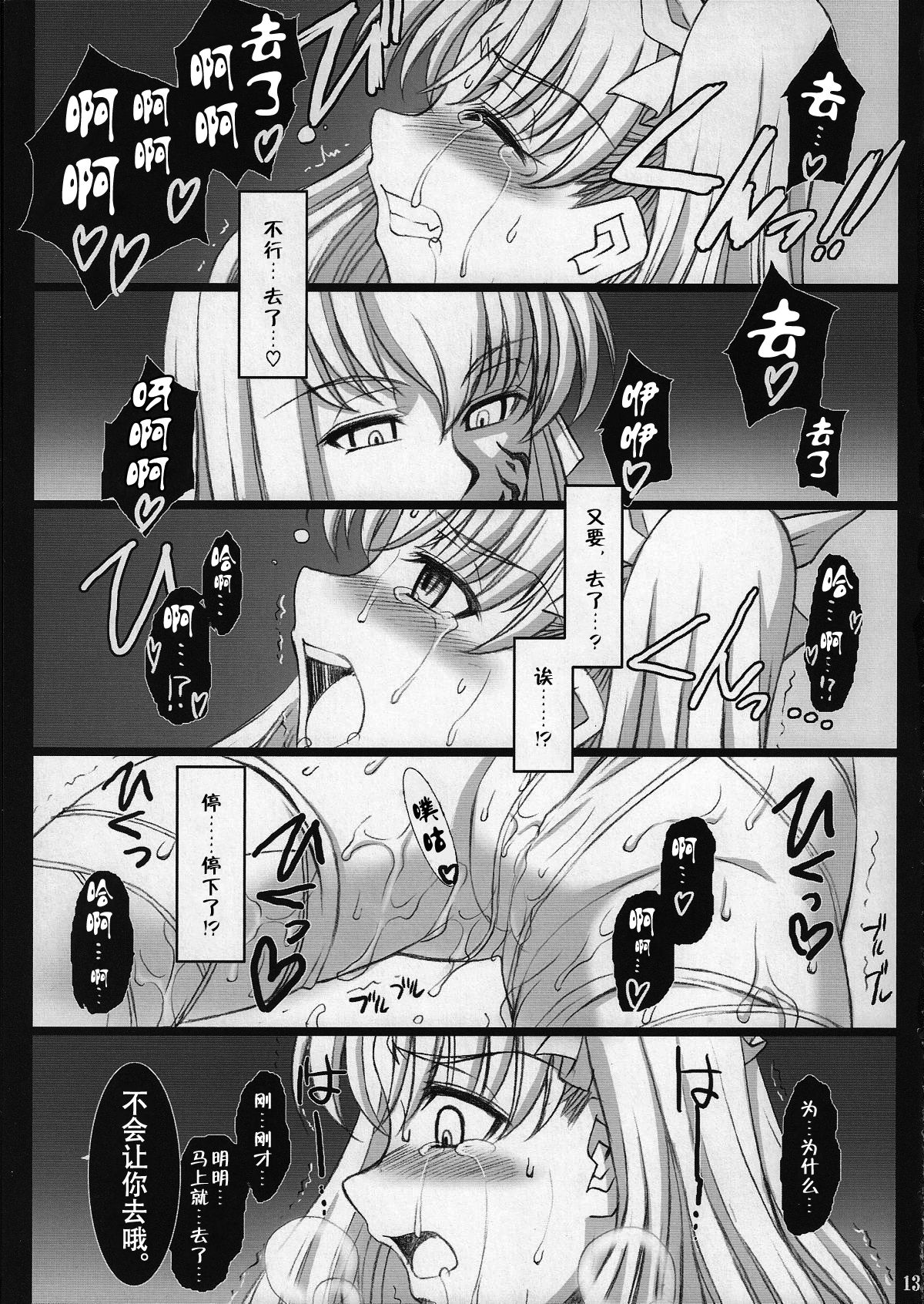 (COMIC1☆2) [H.B (B-RIVER)] Red Degeneration -DAY/3- (Fate/stay night) [Chinese] [不咕鸟汉化组] page 12 full