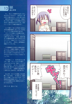 (C75) [Awareness (Aikawa Touma)] IRIS (Hayate no Gotoku!) - page 12
