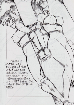 [Busou Megami (Kannaduki Kanna)] Ai & Mai DS II ~Setsugekka~ (Injuu Seisen Twin Angels) - page 40