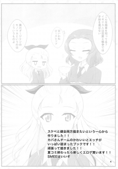 (C94) [Chappurin (Ryochapu)] KABASAN ASSORT*BOX (Girls und Panzer) - page 3