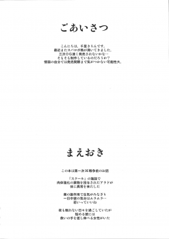 (C87) [Kirin no Chisato (Chisato Kirin)] Seolla of book ~Episode3~ (Super Robot Wars) [Chinese] [瓜皮汉化] - page 3