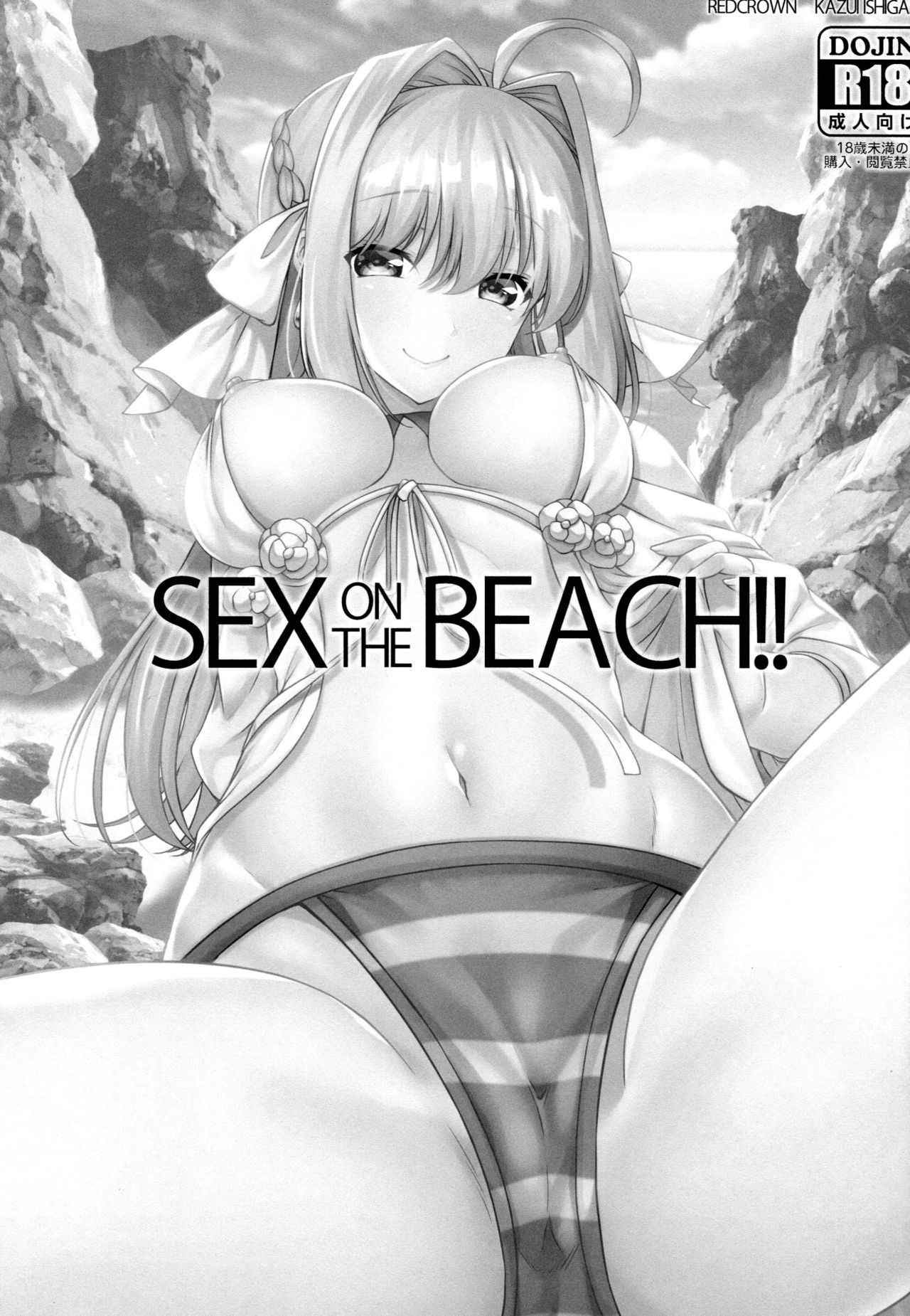 (C96) [RED CROWN (Ishigami Kazui)] SEX ON THE BEACH!! (Fate/Grand Order) [Chinese] [空気系☆漢化] page 3 full