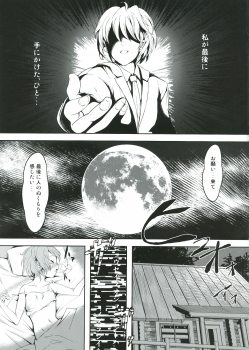 (C81) [Palm Sunday (Leli)] Touhou Kinoko Gaku ~ Cirno no Kosodate Funtouki 2!? ~ (Touhou Project) - page 21