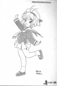 [AKKAN-Bi PROJECT] Card Captor Sakura Complete 2 - page 21