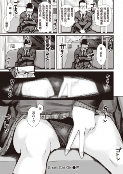 [Shimanto Shisakugata] Short Cat Girl (COMIC Kairakuten 2019-11) [Chinese] [暴碧汉化组] [Digital] - page 30