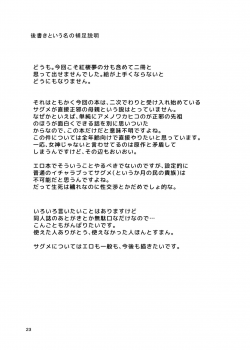 [Tetsu no Otoshigo (Chirorian)] Sagi no Koe Hibiku (Touhou Project) [Digital] - page 23