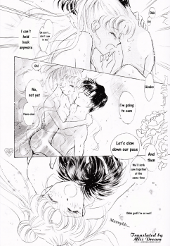 [PALE LILAC (Ohmori Madoka)] EARTH WIND (Sailor Moon) [English] {Miss Dream} - page 24