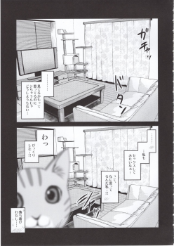 (COMITIA131) [Shin Hijiridou Honpo (Hijiri Tsukasa)] Pet Mimamori Camera ni Ane to Otouto no Sex ga Utsutteta. - page 30
